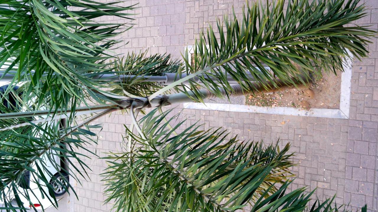 Hotel Sama Montería Zewnętrze zdjęcie